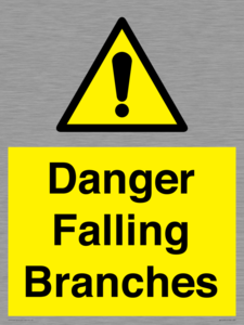 Danger Falling Branches